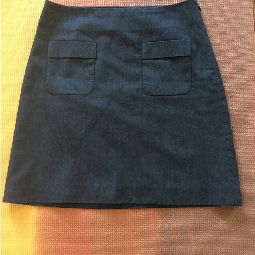 Ann Taylor Loft Skirt